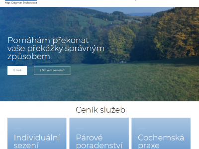 Terapeut​, poradenství