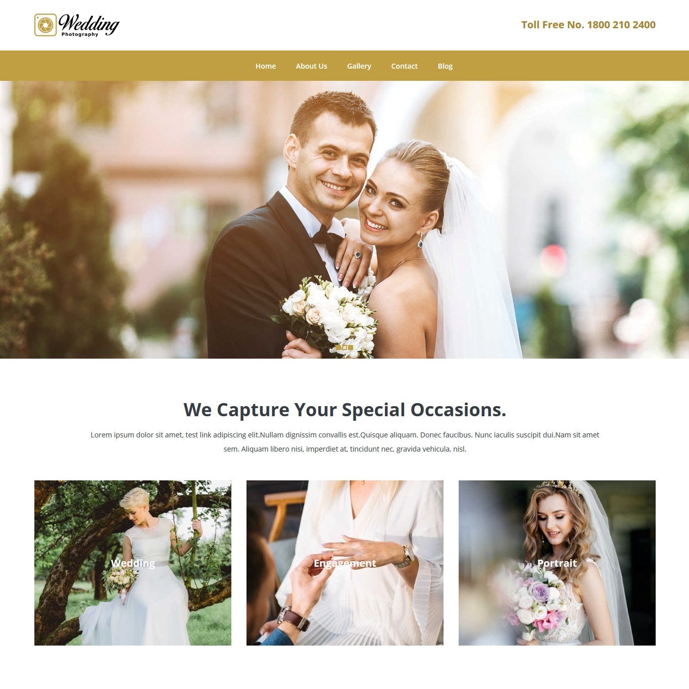 web-svatebni-fotograf-nahled